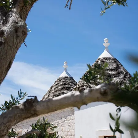 Mandolario Trulli *